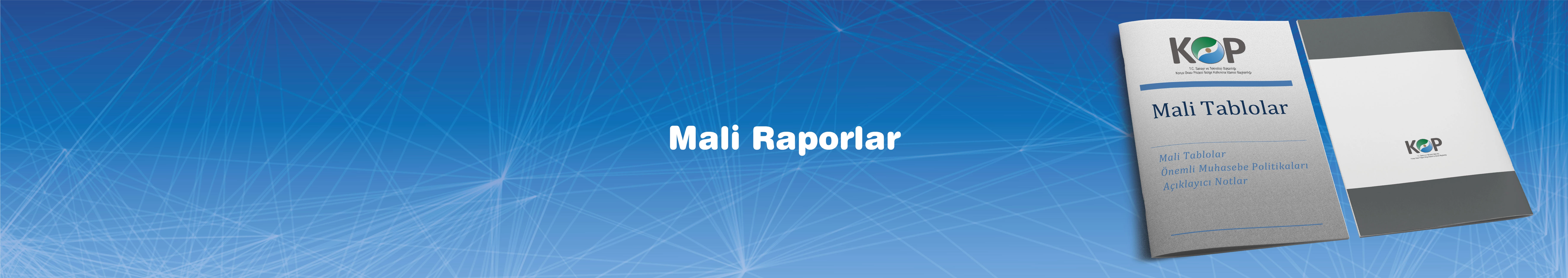 Banner Mali Raporlar.jpg
