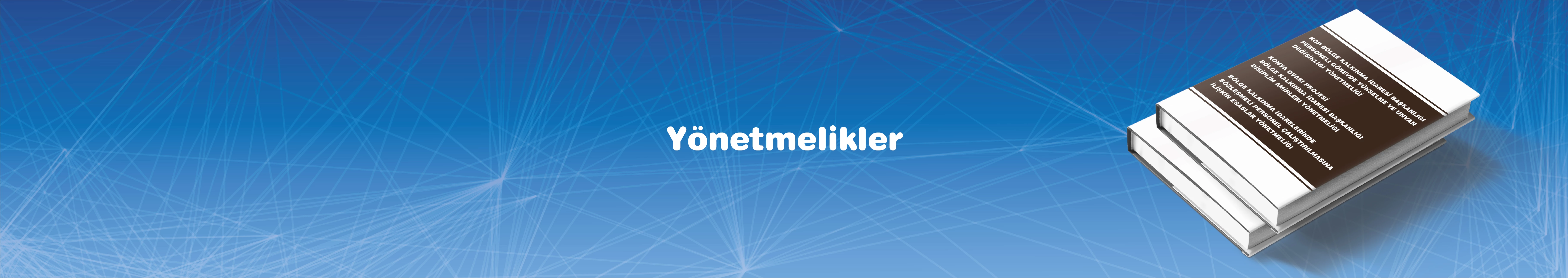 Banner Yönetmelikler.jpg
