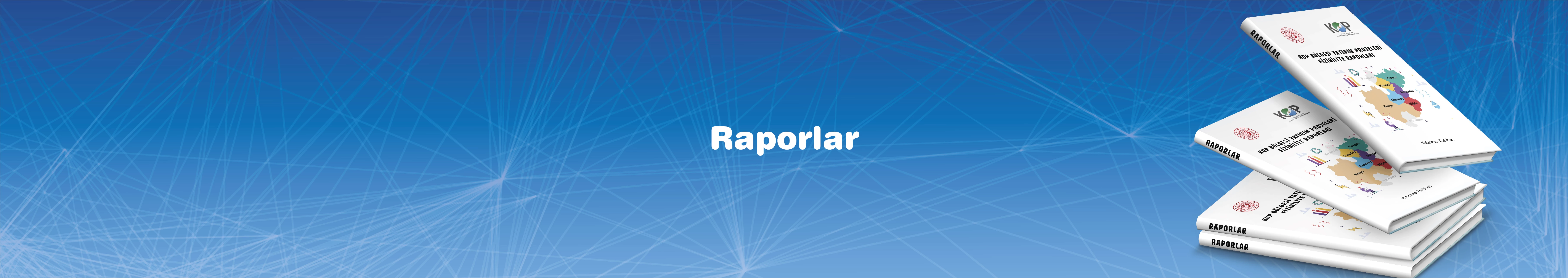 Banner Raporlar.jpg