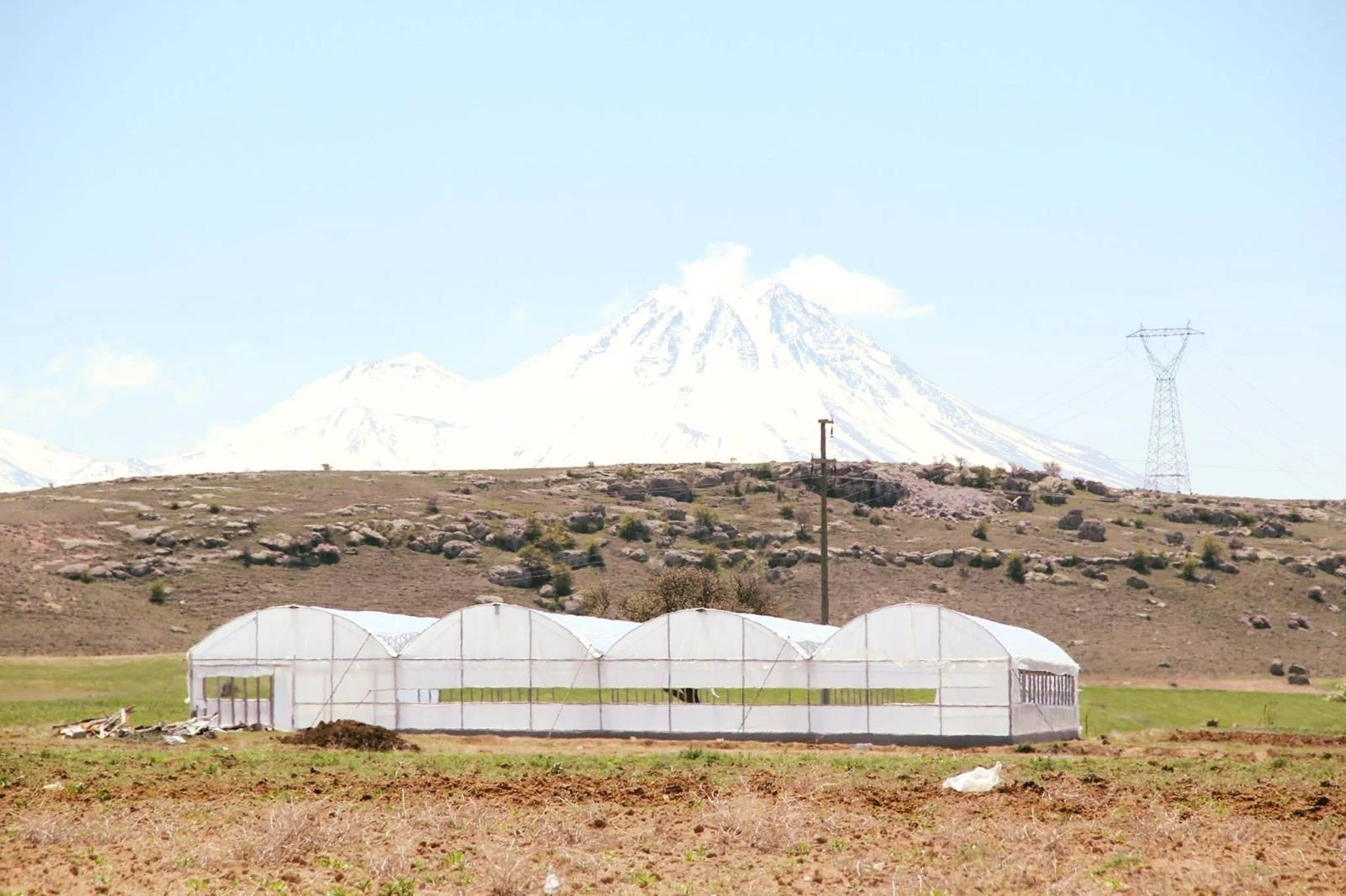 ed5ee1e2-6571-4585-aa0e-1e1c6b8f0653.jfif