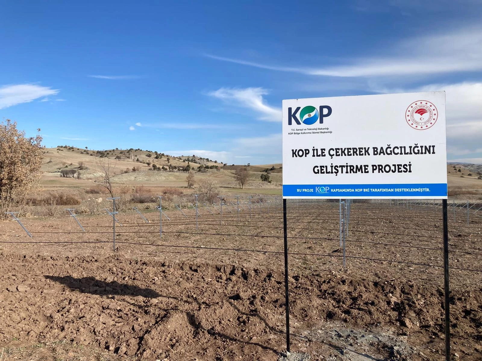 WhatsApp Image 2024-07-19 at 16.54.34 (3).jpeg