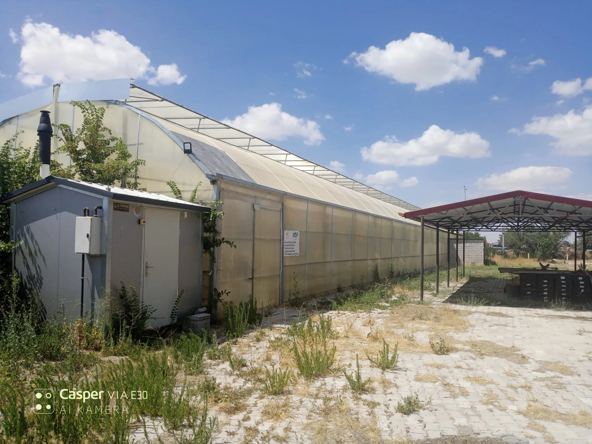 WhatsApp Image 2024-07-19 at 14.34.42 (2).jpeg