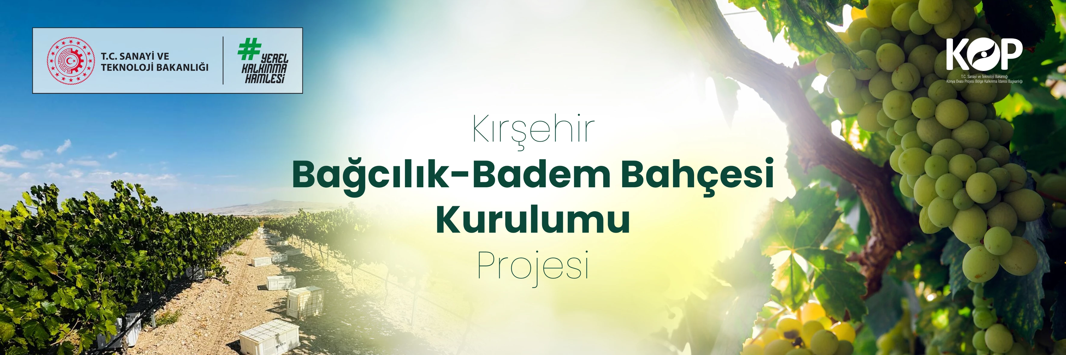 Kırşehir Bağcılık - Badem Bahçesi.jpg