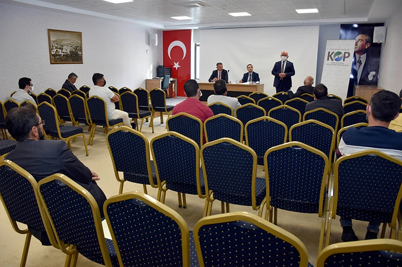 3558.jpg
